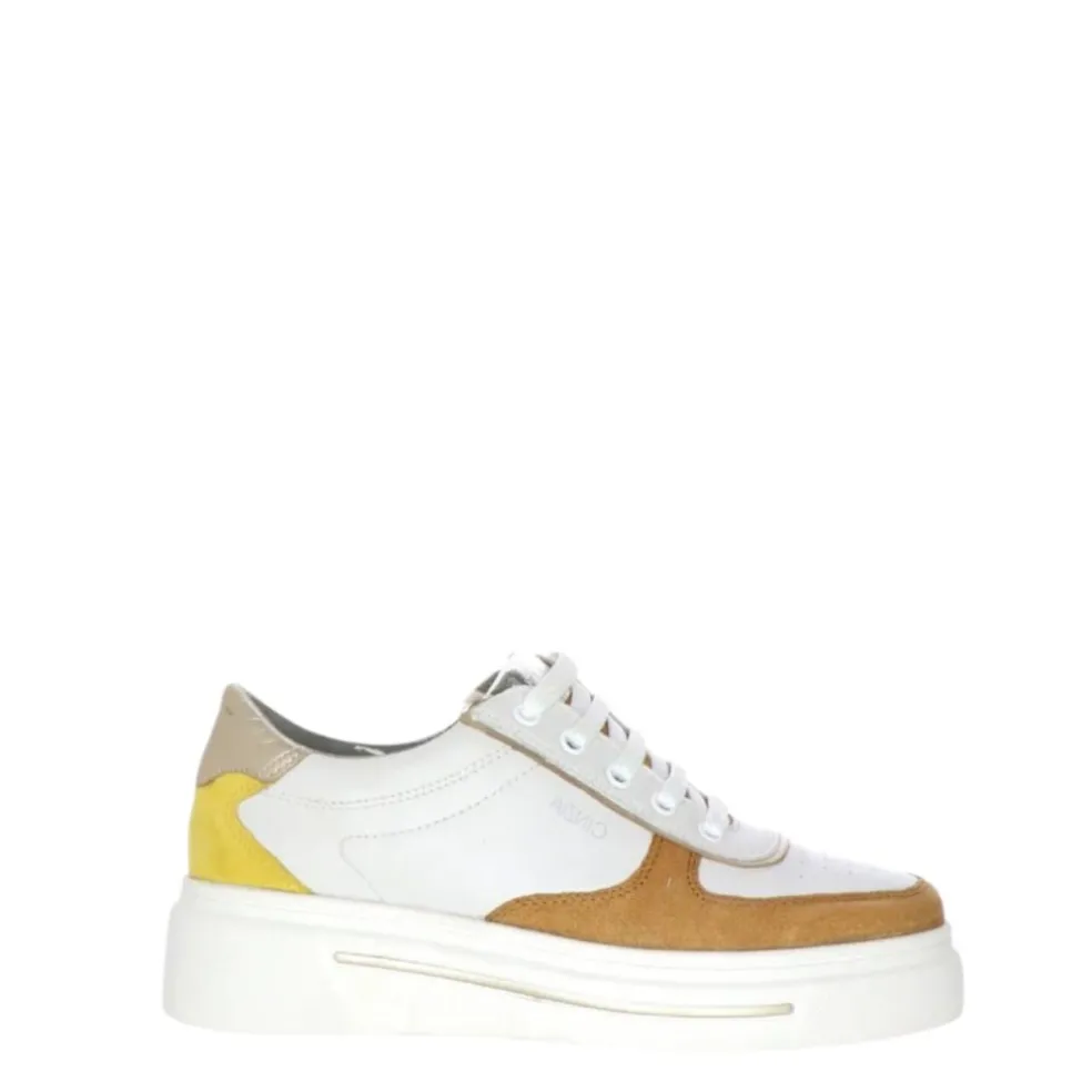 Sneakers Donna “Cinzia Soft” IV1021473 Collezione Primavera/Estate 2025 Camel Multi