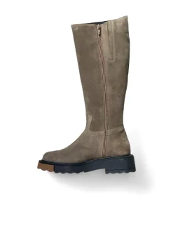 Stivali donna “Pregunta” 2320038 Collezione Autunno/Inverno 2024/2025 – Taupe